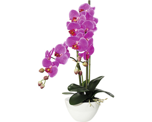 Kunstplant Phalaenopsis, hoogte: 50 cm, paars