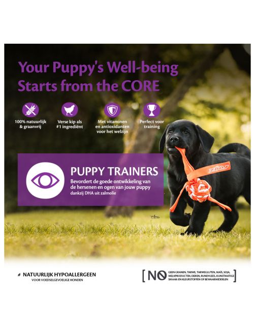 Wellness Core Puppy Trainers Chicken Flavoured With Carrots - Hondensnacks - Kip Wortel 170 g