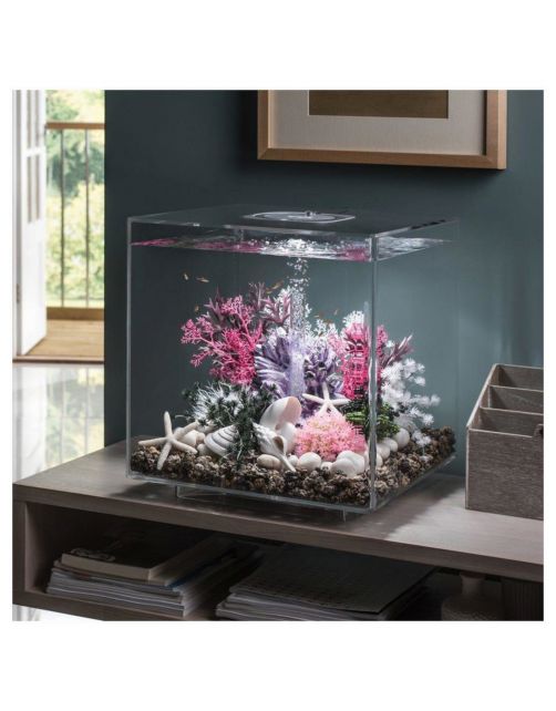 Biorb Aquarium Cube 30 Mcr - Aquaria - 30 l Transparant