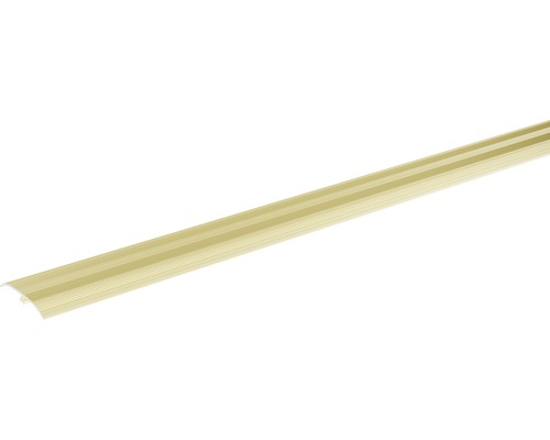 SKANDOR universeel profiel, champagne geanodiseerd, zelfklevend, inclusief deuvels, 5,5 x 37 x 2700 mm