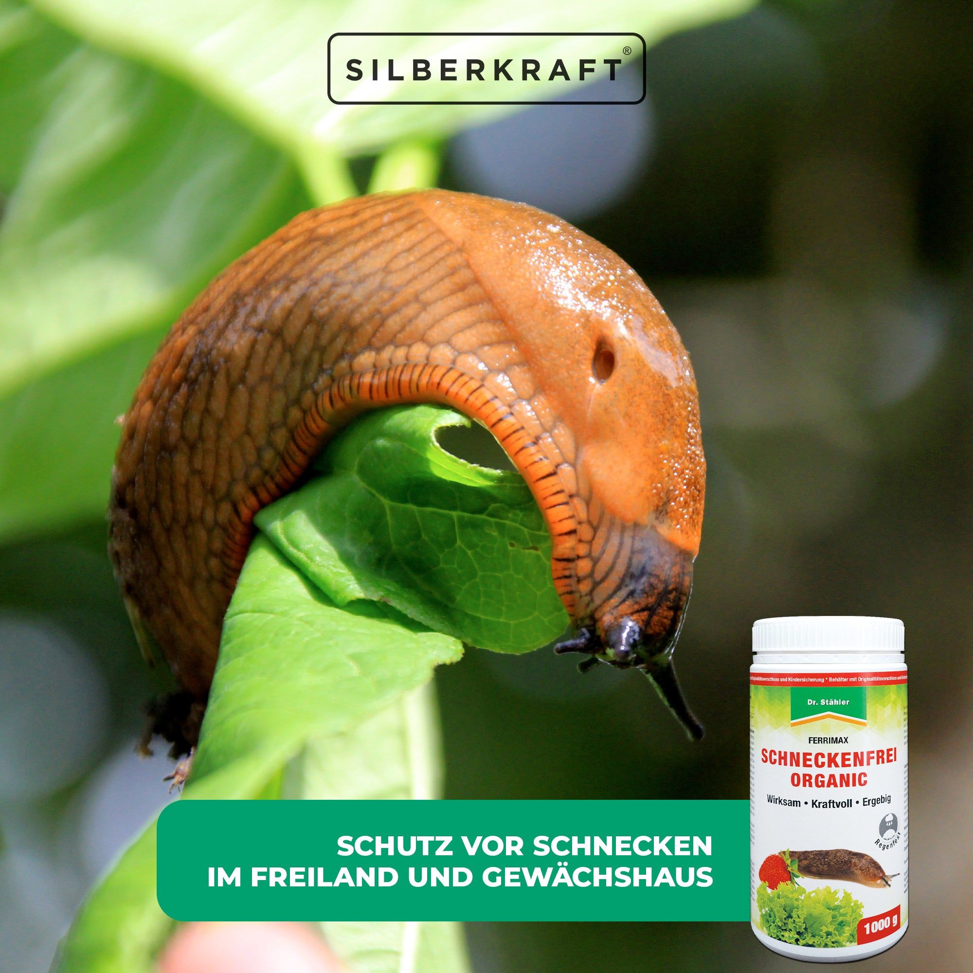 SILBERKRAFT Schneckenfrei-Organic