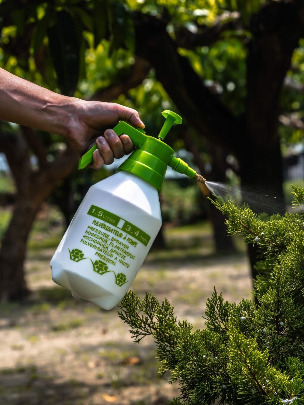 Pulvérisateur à pression - suan - multiusages pour le jardin et la maison - contenance : 1500 ml