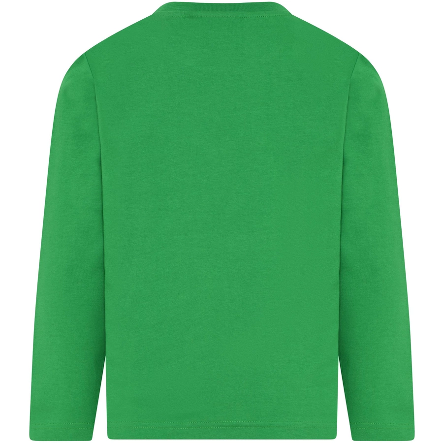 LEGO® WEAR Langarmshirt LWTAYLOR 624 green