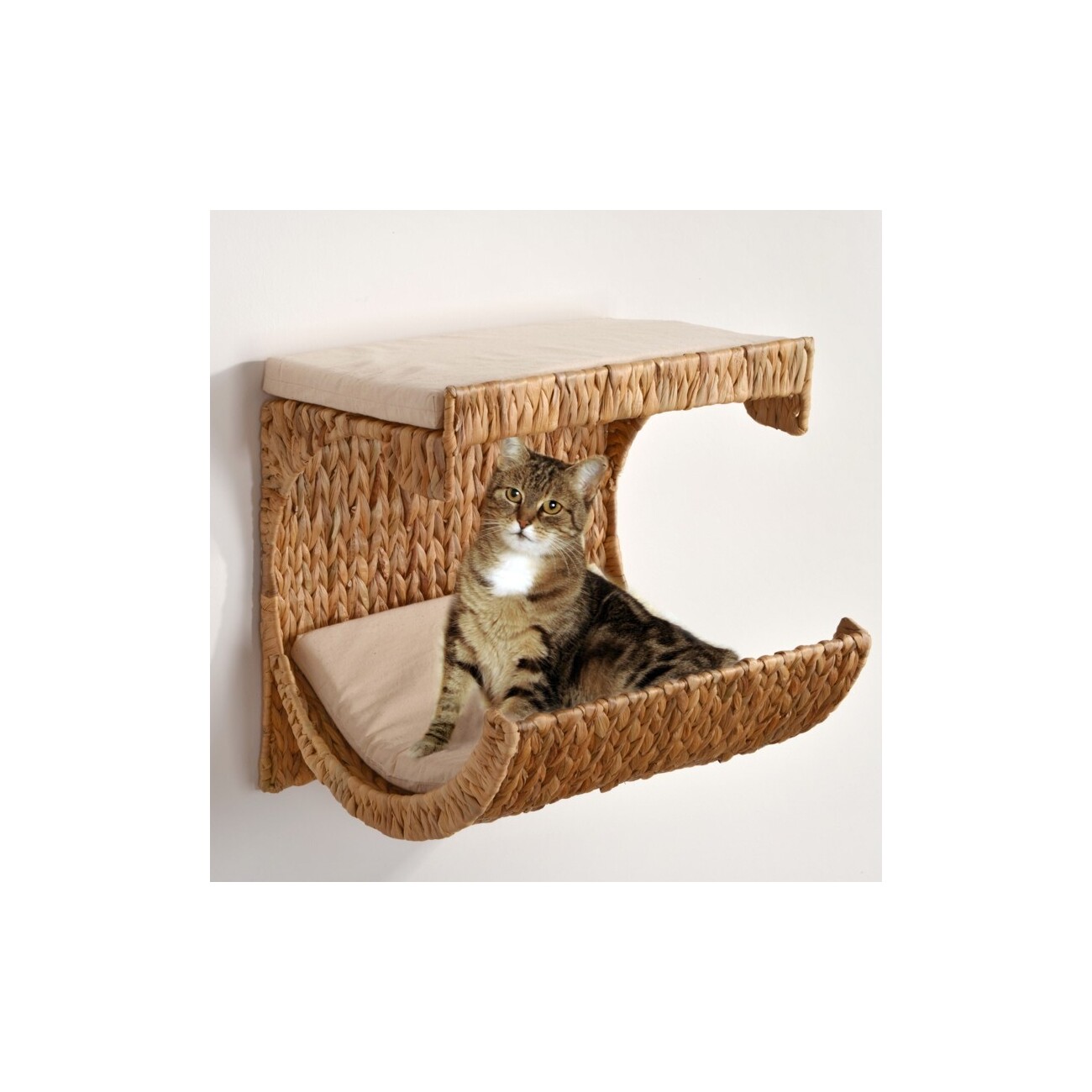 Rohrschneider ® Katzenliege Cäsar