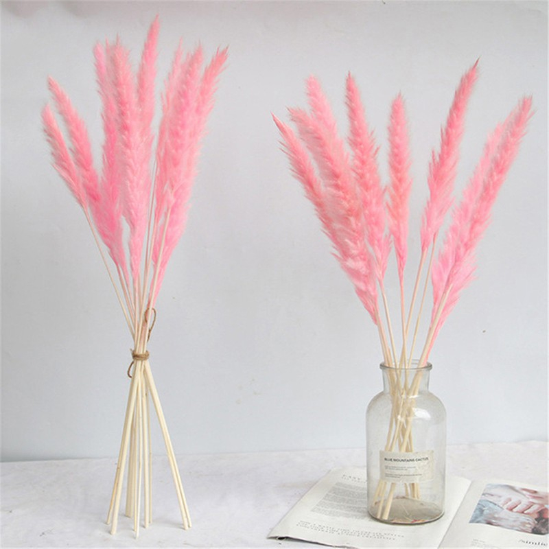 (30er Set) 60cm Deko Pampas Gras Boho Trockenblumen Hygge Lifestyle - Rosa