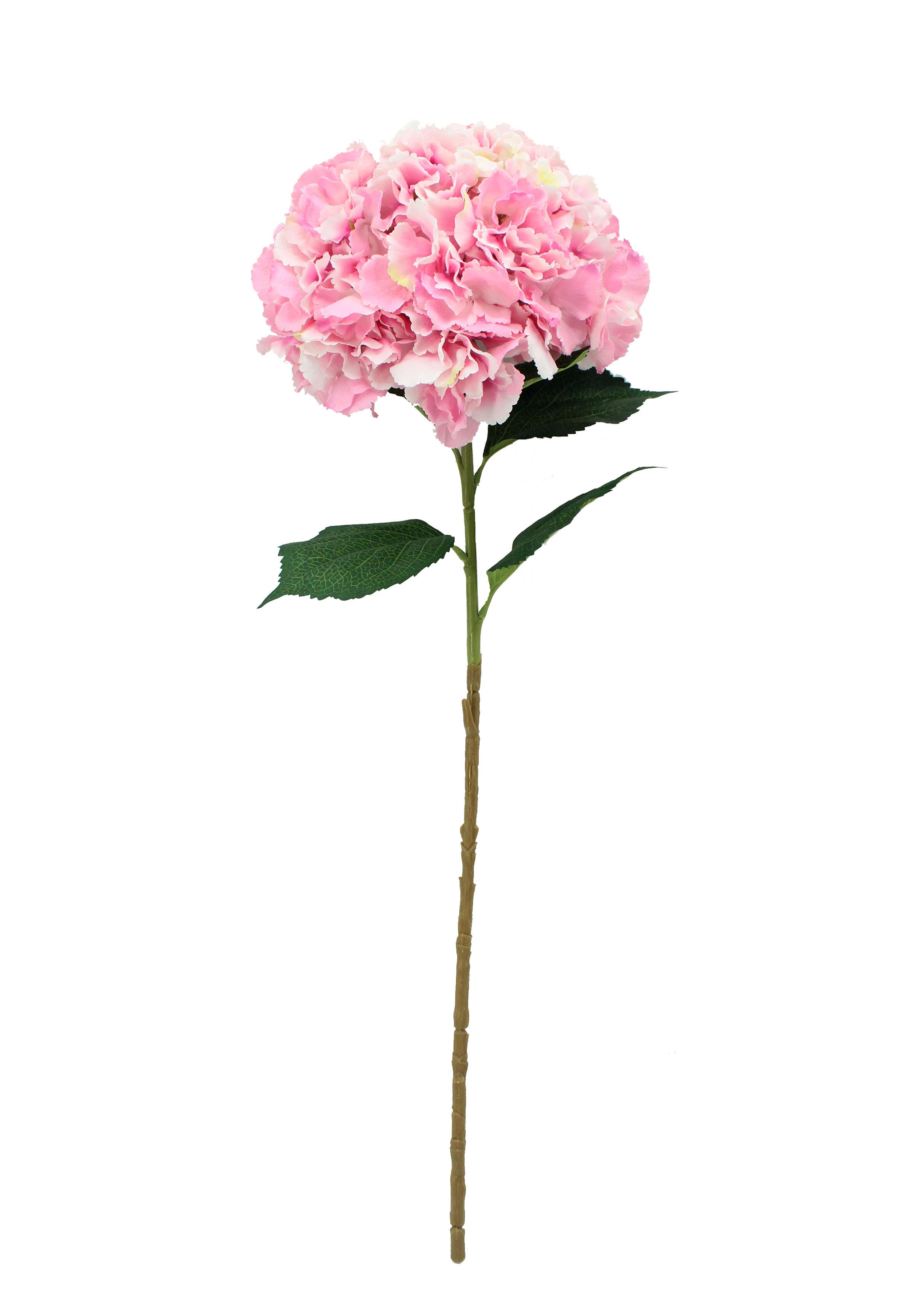 TIGE HORTENSIA GEANT H.91CM ROSE
