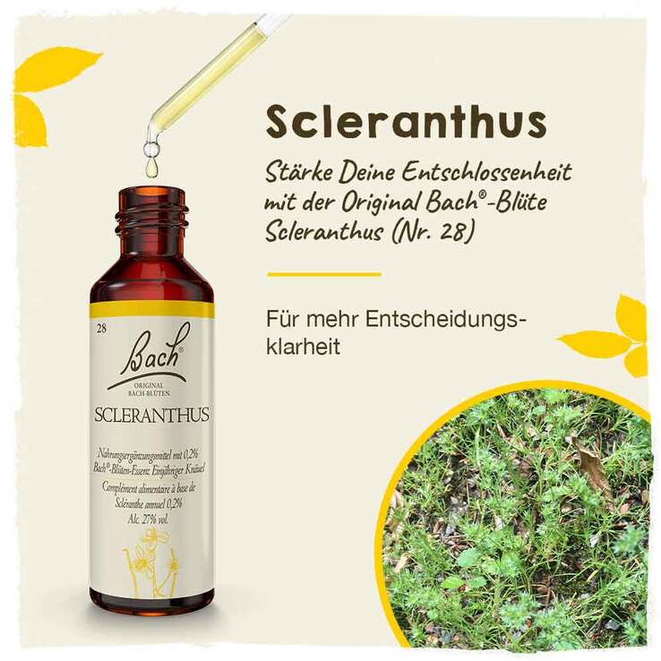 Bachblüten Nr. 28 Scleranthus Tropfen, 20 ml