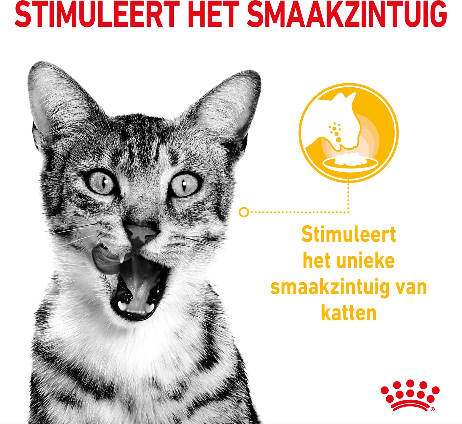 Royal Canin kattenvoer in saus Sensory Taste 85 g 12 stuks