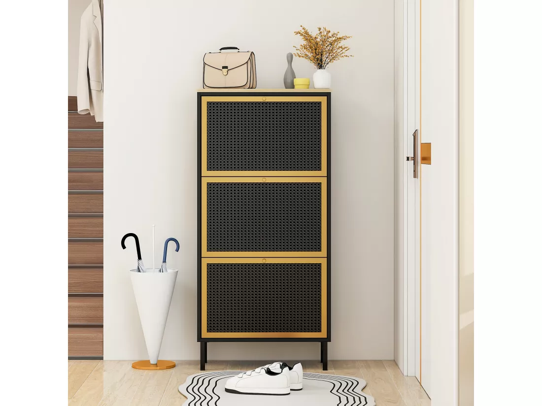 Haobosic - Meuble à chaussures avec trois portes et structure en métal tissé rotin, double étagère à chaussures, 60 cm, avec panneau arrière,noir