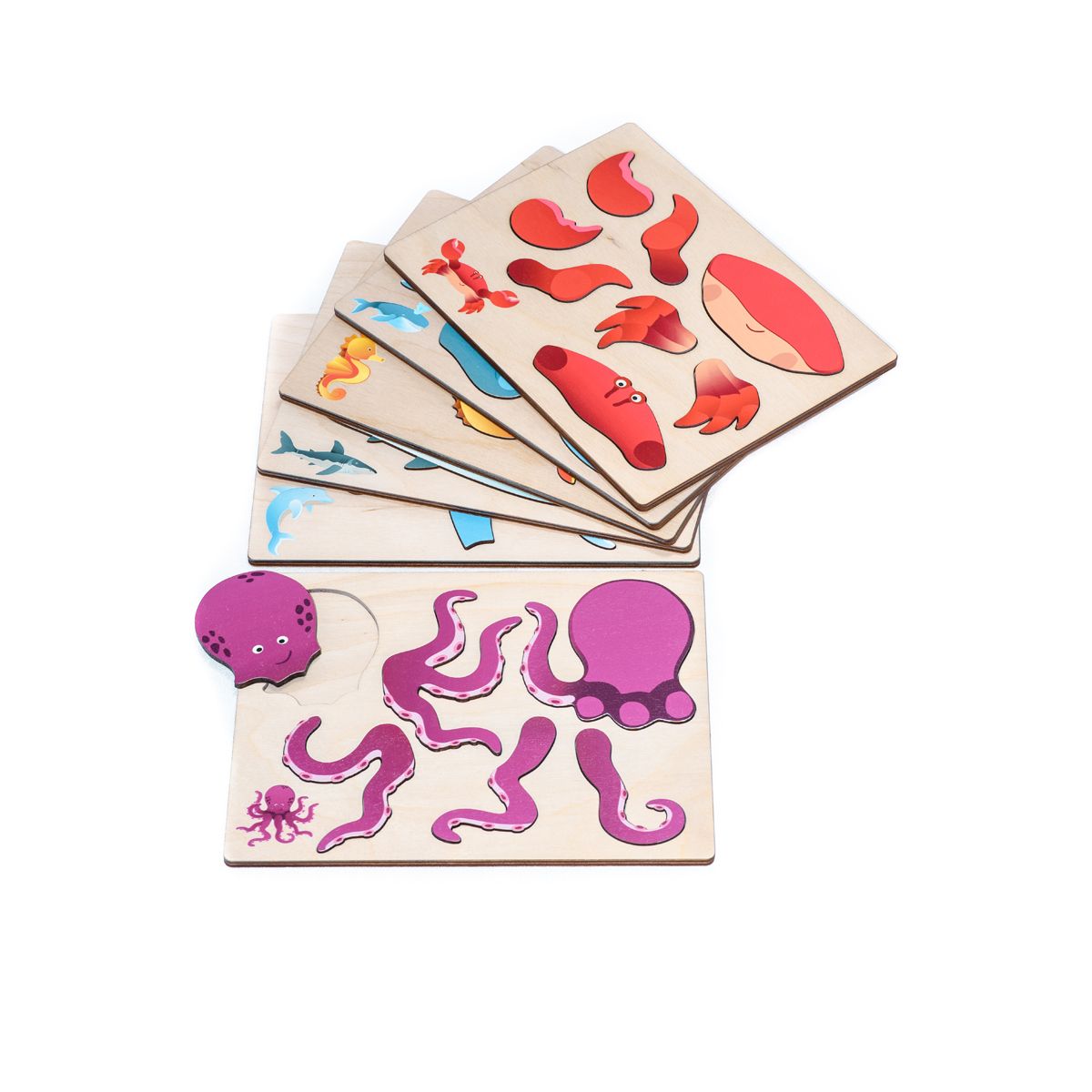 EDUPLAY Magnetpuzzle Meerestiere