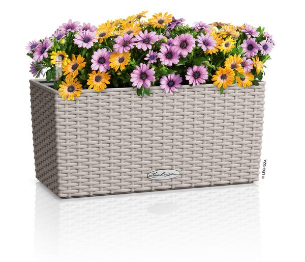 LECHUZA® Kunststoff-Kasten Balconera Cottage,