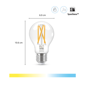 WiZ Connected LED peer E27 60W 2 stuks filament helder koel tot warmwit licht dimbaar