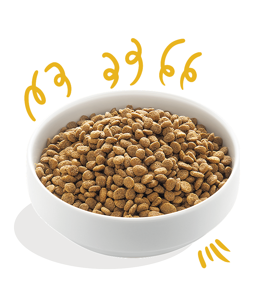 Edgard & Cooper Adult Biologisch Verse Kalkoen en Kip 700 gram