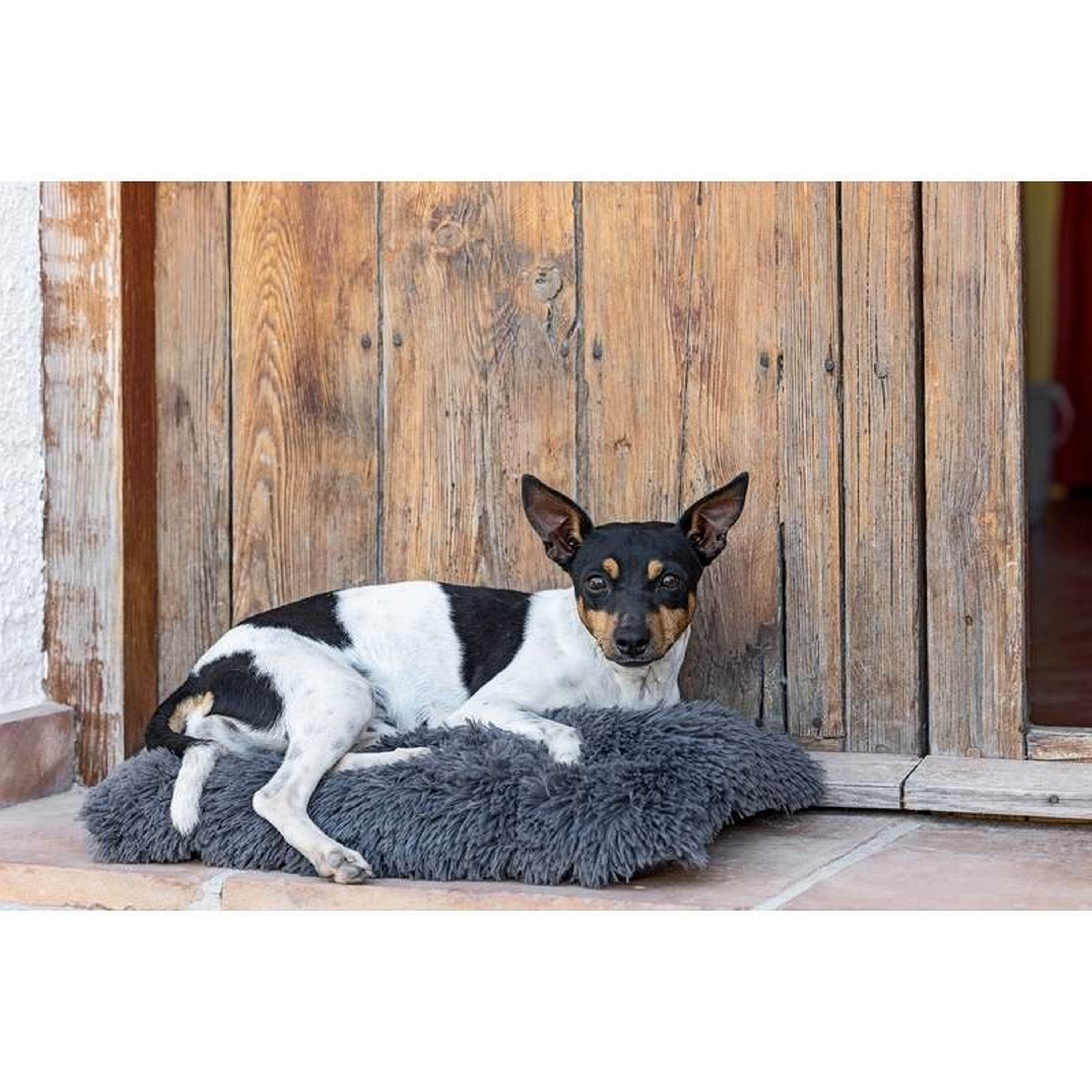 Cama para animais de estimação 50x35cm Pets Club