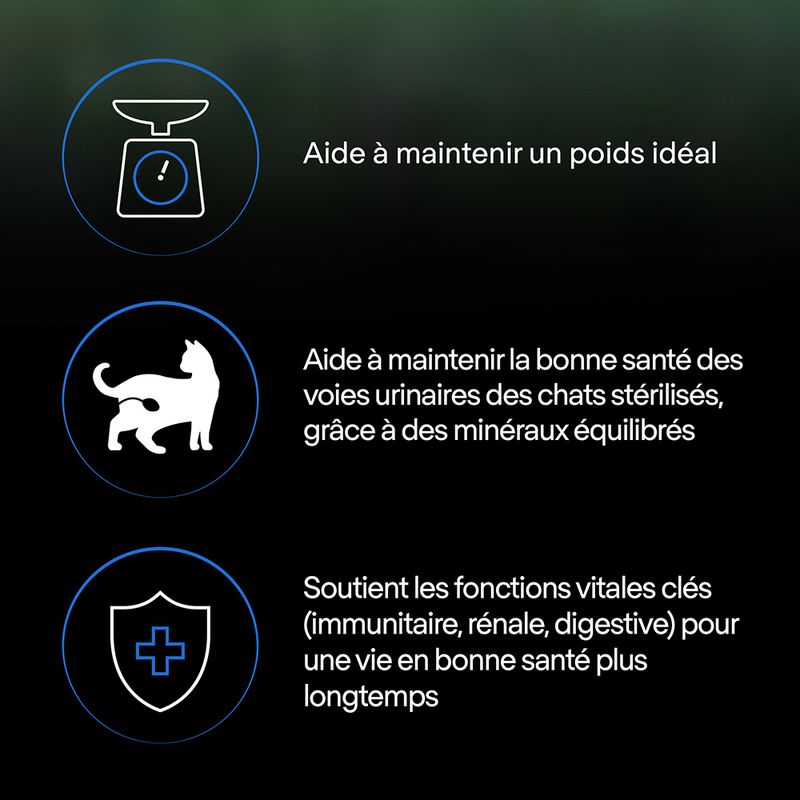 PURINA PRO PLAN LiveClear Sterilised Adult 7+ dinde