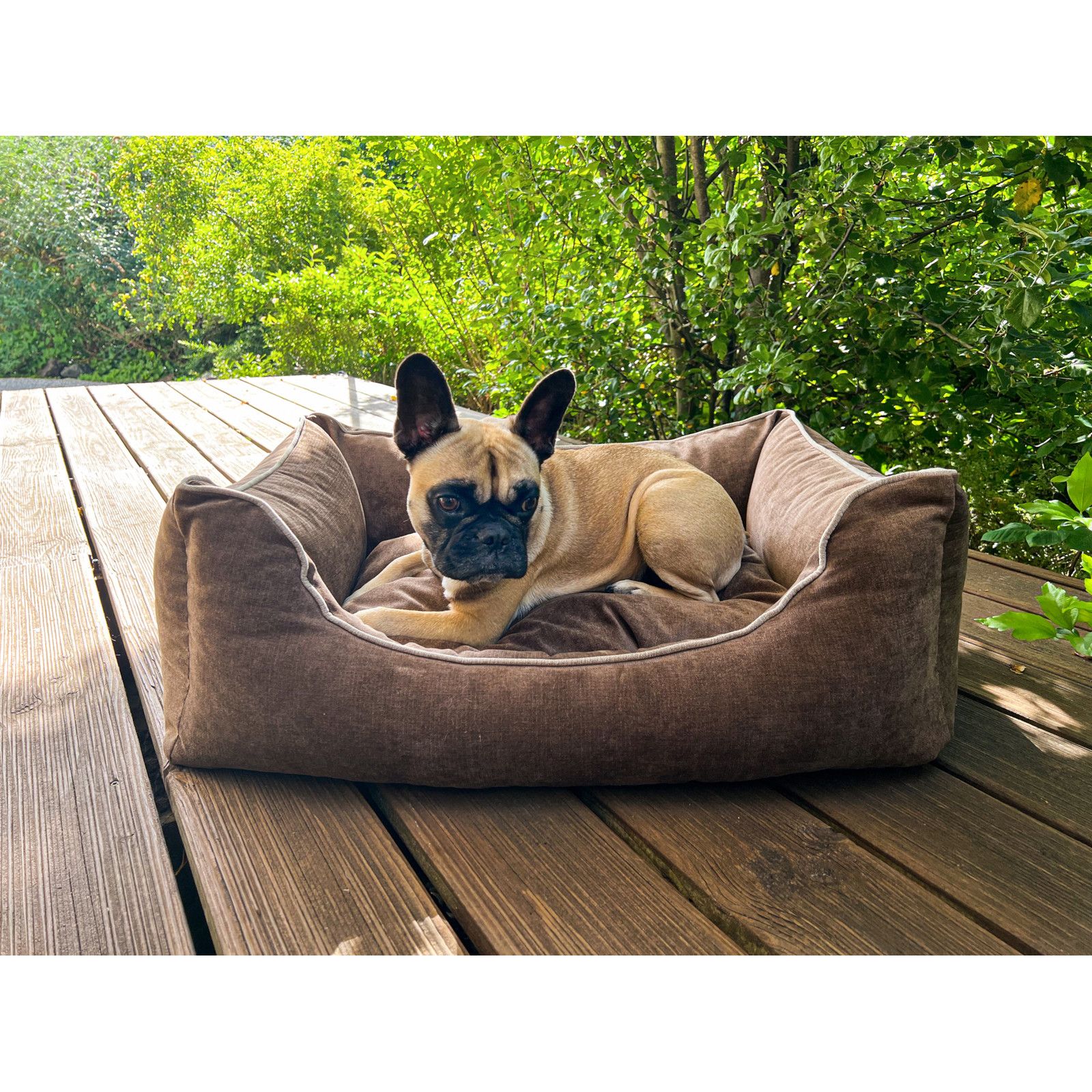 Aumüller Hundesofa Ortho Line