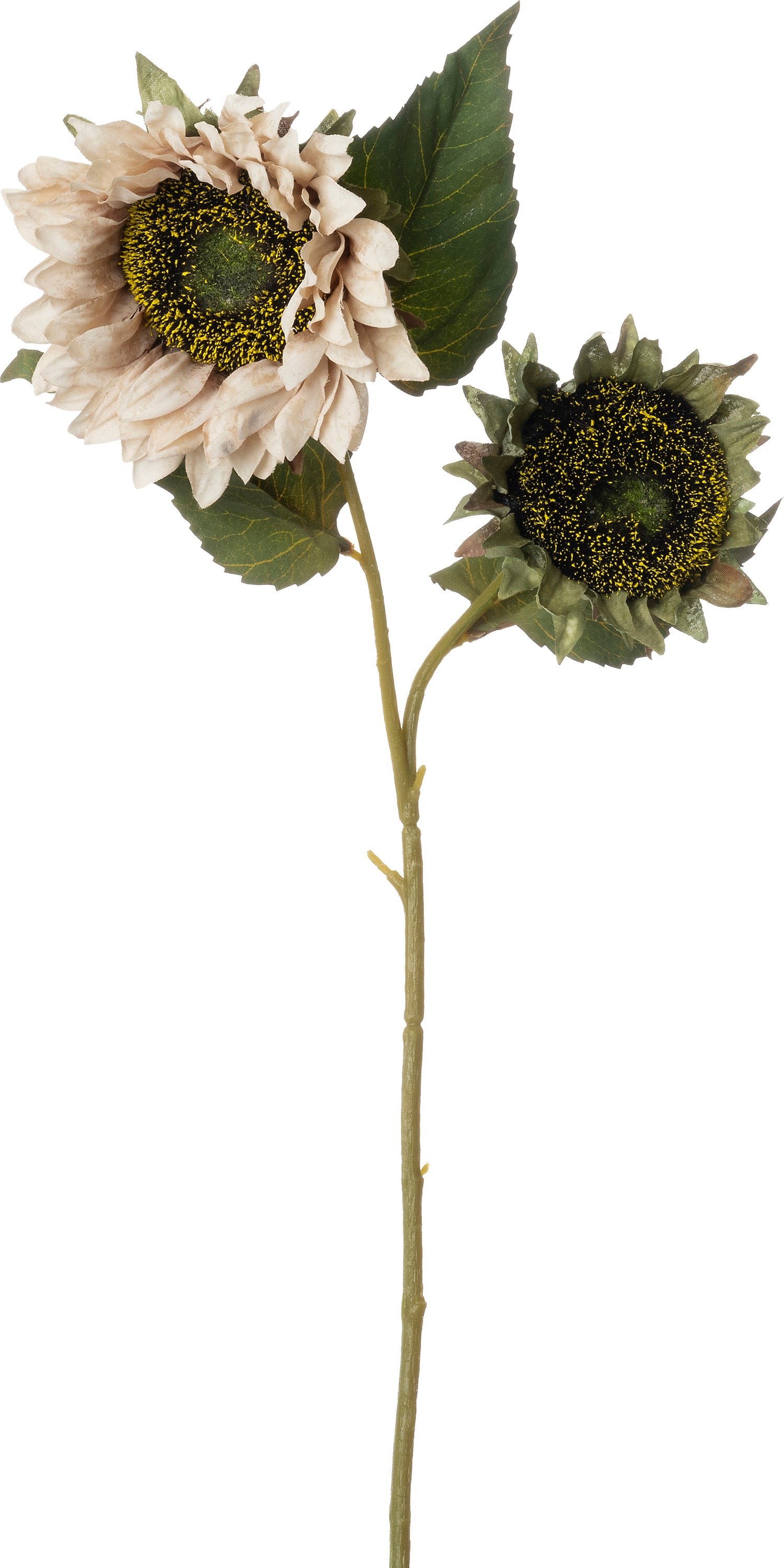 Intratuin kunstbloem Zonnebloem crème 56 cm
