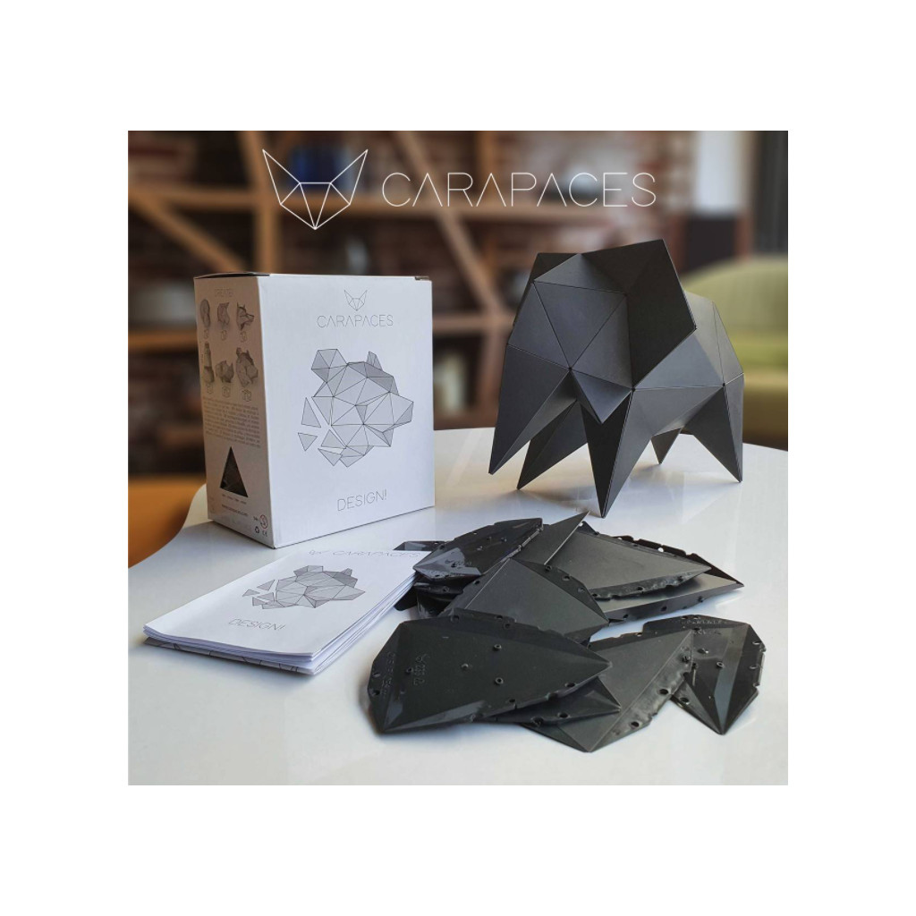 Carapaces By Doug : Anthracite