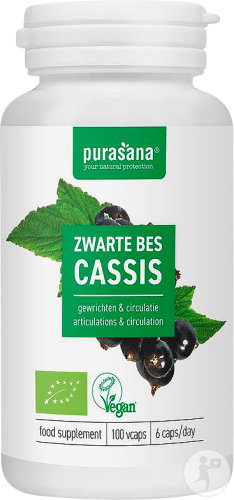 Purasana Cassis 300mg Bio Complément Alimentaire Articulations Et Circulation 100 Gélules