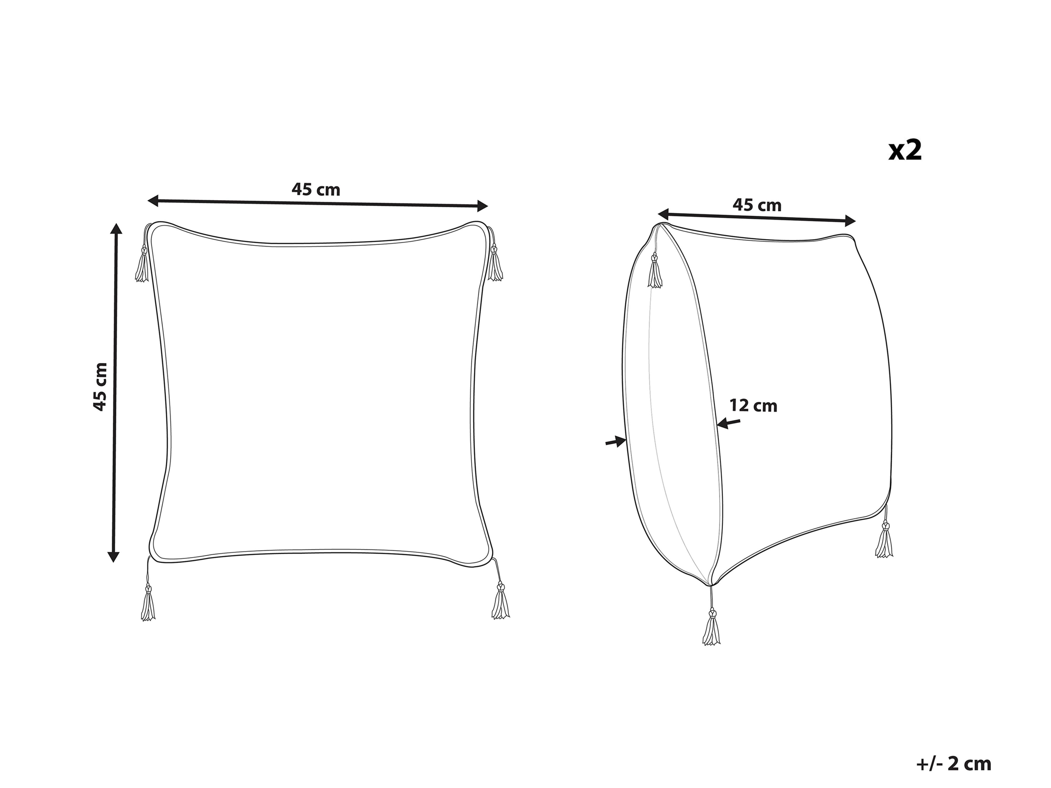 Set van 2 sierkussens AZALEA 45 x 45 cm Lichtbeige effen