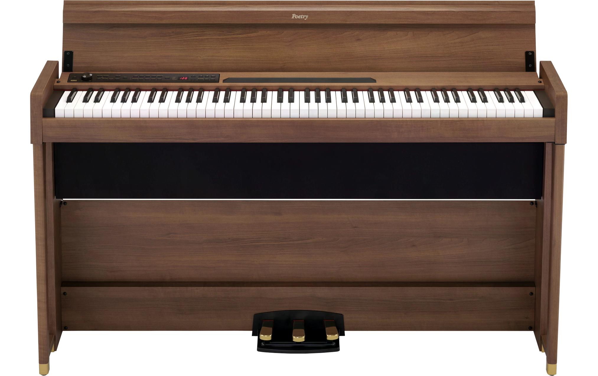 E-Piano Poetry<br>Das Piano für Chopin-Liebhaber