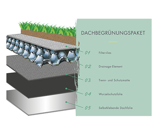 Karibu Gartenhaus mit bepflanzbarem Dach, 28 mm »Nature 3«