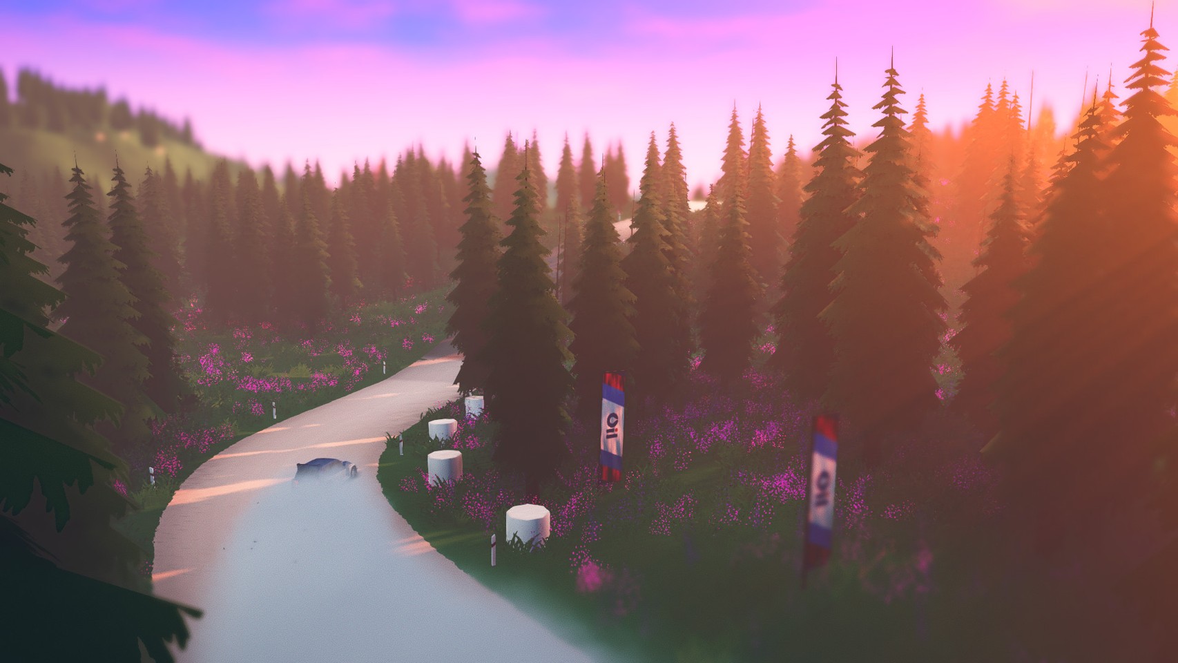 art of rally- PC