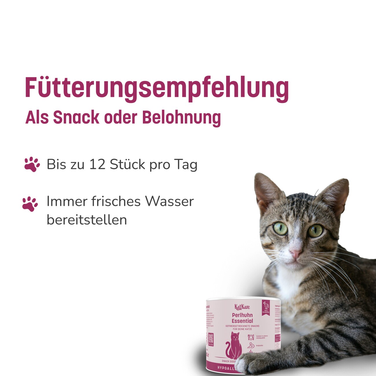 KatKare Hypoallergener Gefriergetrockneter Snack Perlhuhn Essential 70 g