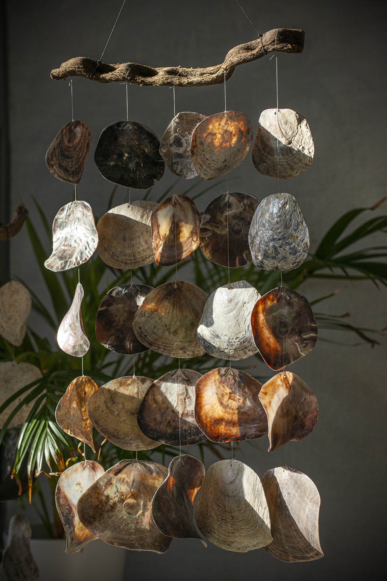 Windspiel mit Muscheln, H 90 cm, B 35 cm günstig bestellen