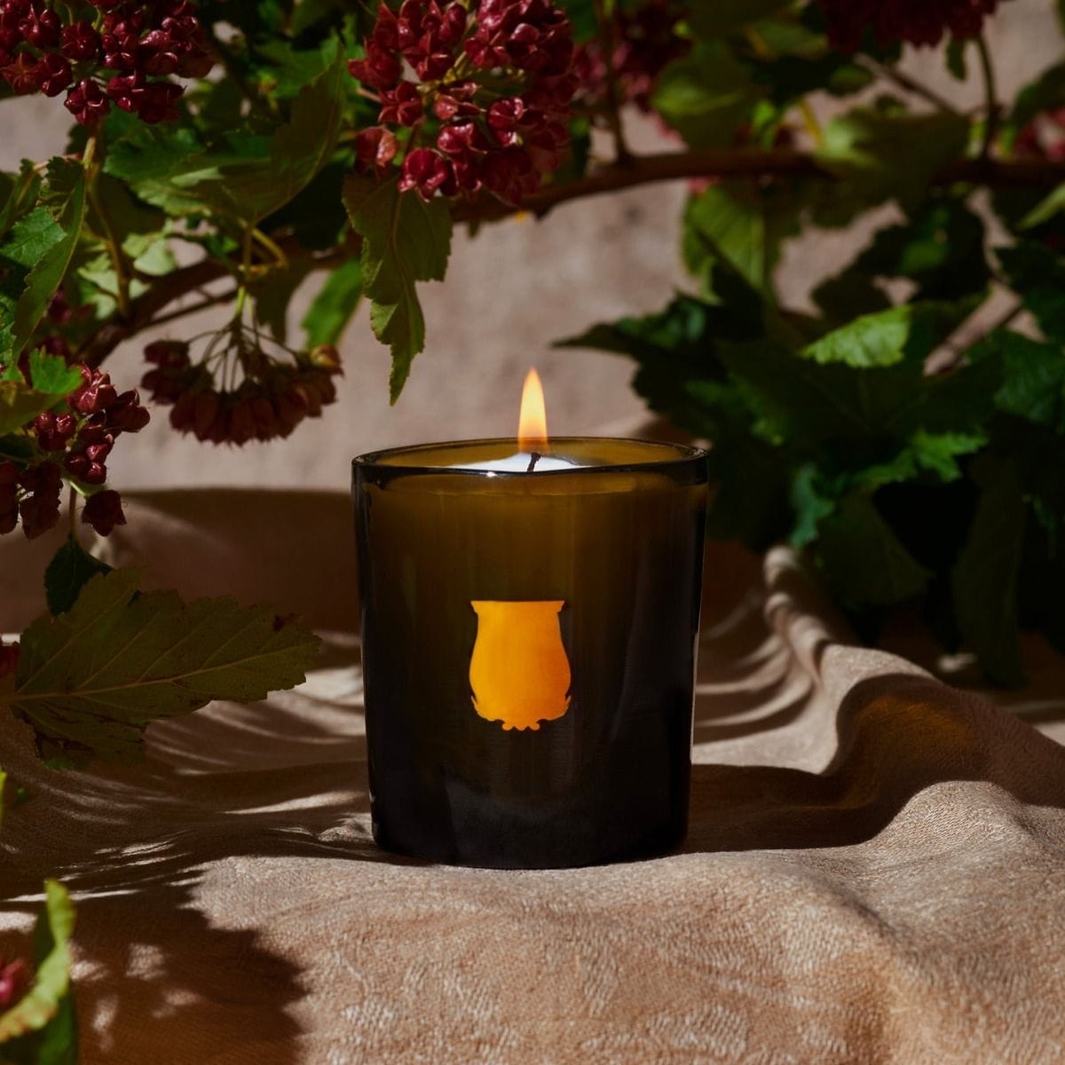 Trudon Solis Rex Bougie Parfumée