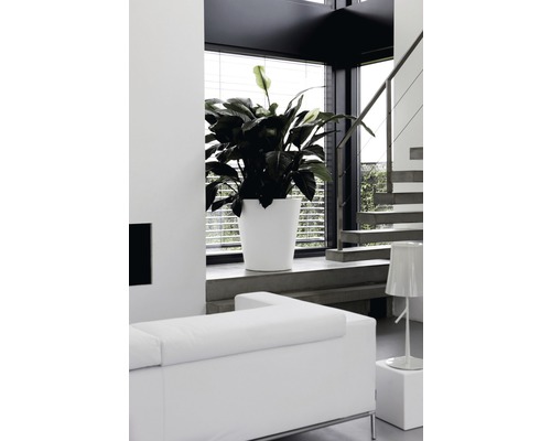 elho Pure rechte ronde plantenpot van kunststof, Ø 50 cm, H 51 cm, wit