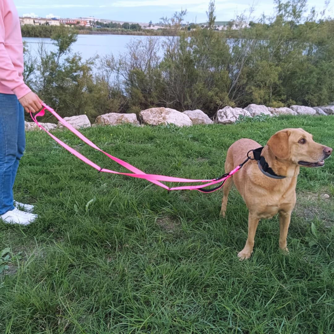 EGV - Guia para cães com múltiplas posições e alça dupla de neoprene. Guia para cães que permite o uso com as mãos livres, 2,5 metros de comprimento. (Rosa)