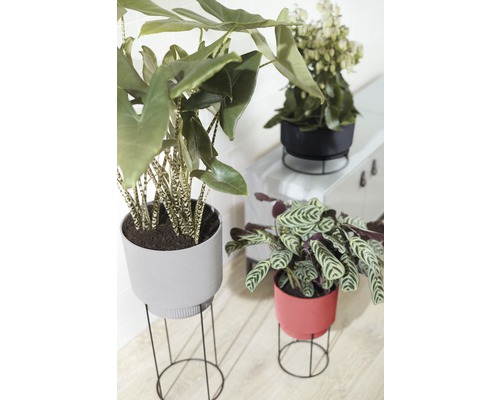 elho plantenbak/bloembak b.for studio Ø 30 cm H 18,8 cm zwart voor binnen