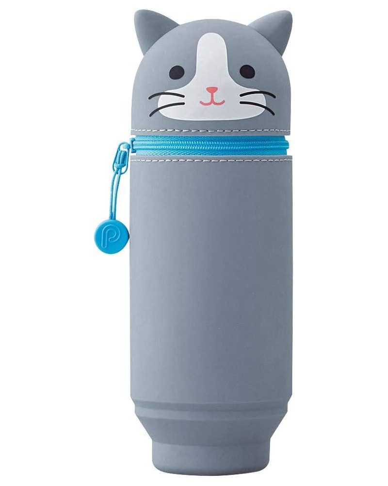 Chat Gris grande taille