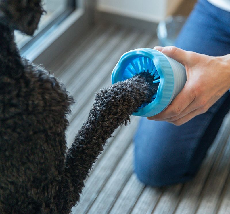 Nettoyeur pour pattes Trixie en silicone