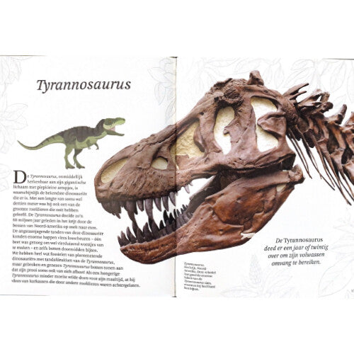 Uitgeverij lannoo het dikke boek van alle bijzondere dino's