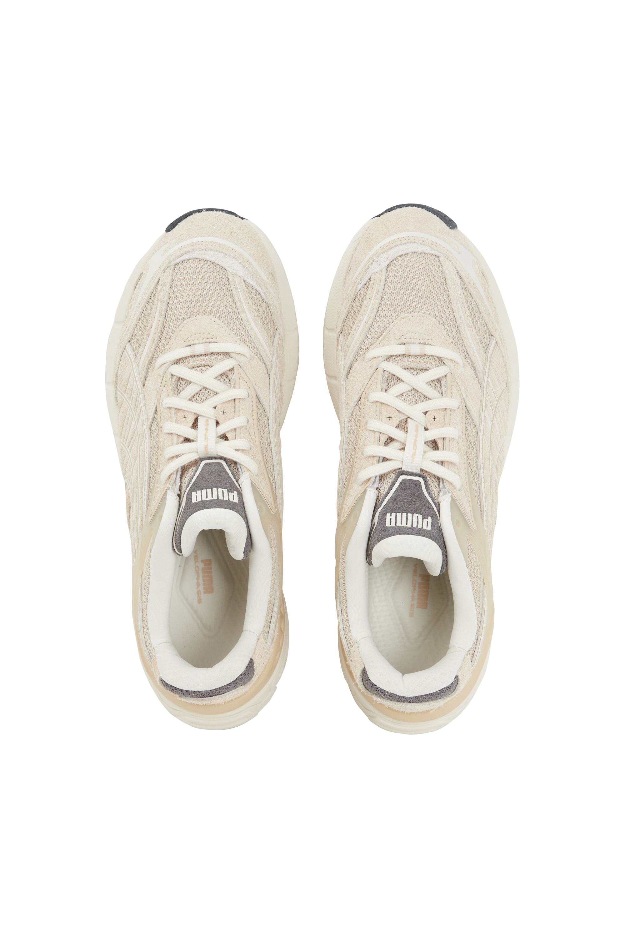 PUMA Baskets VELOPHASIS Beige
