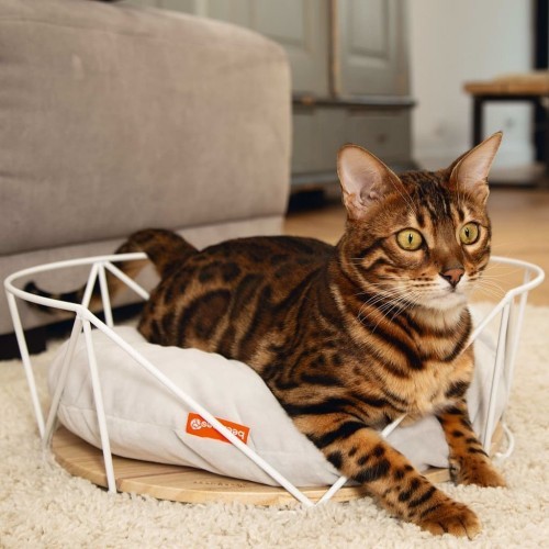 Cama para gatos Beeztees Kipu, branca