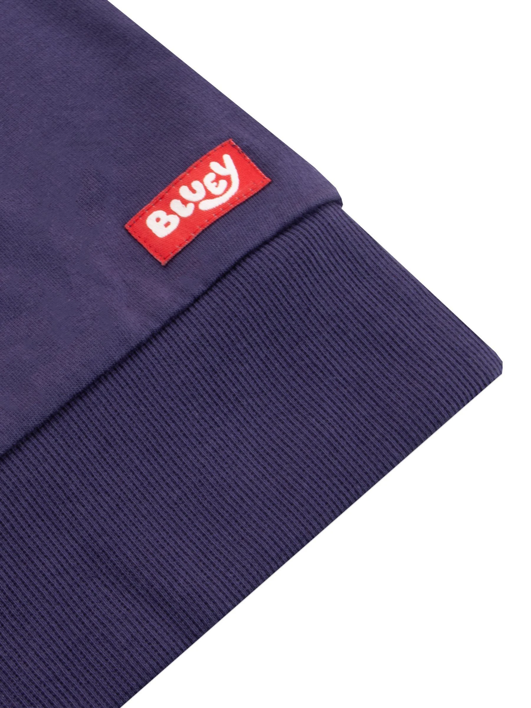 Kerst 100% katoenen sweatshirt met Bluey en Bingo-personages