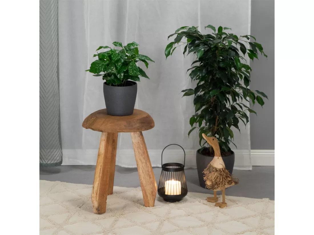 TABOURET Heidi Bois massif en acajou, rond couleurs naturelles