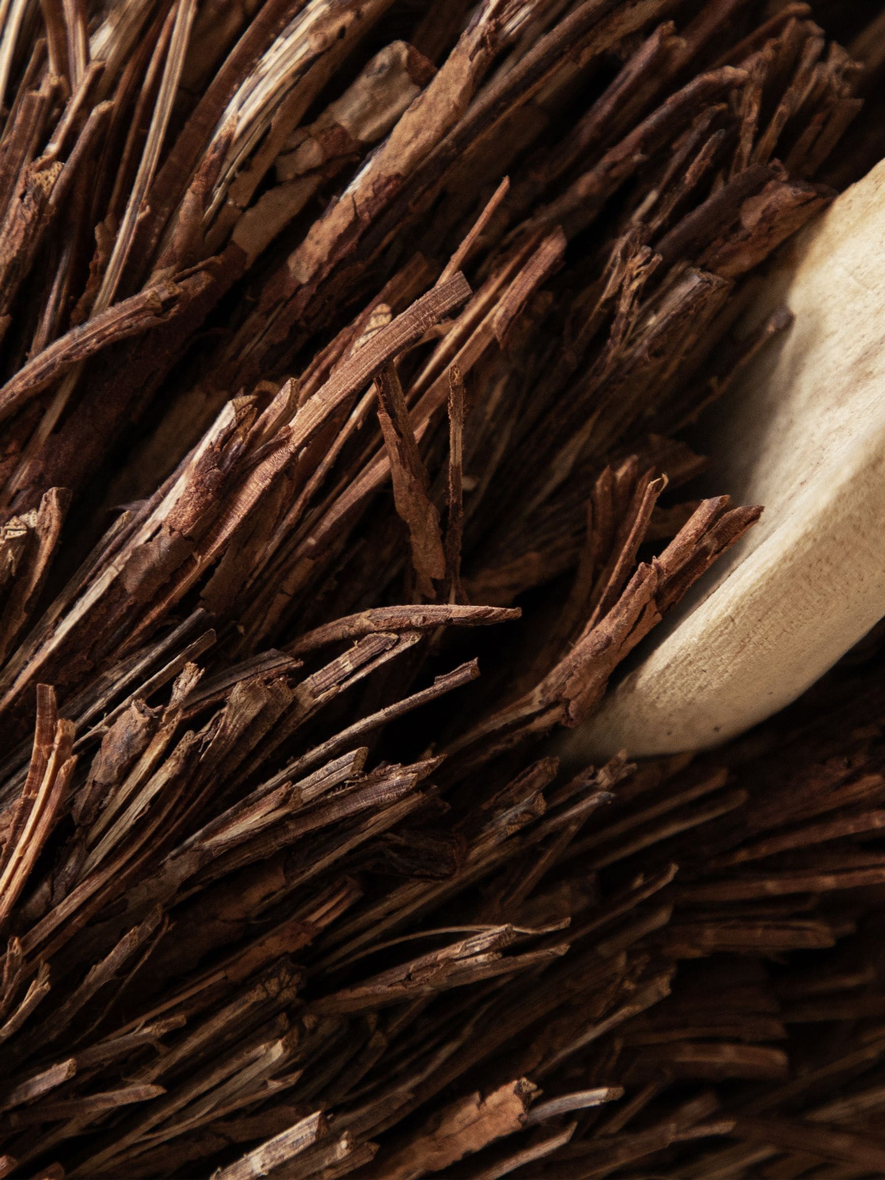 Voyage Maison Stirling Stag Head Wall Mounted Wooden Sculpture