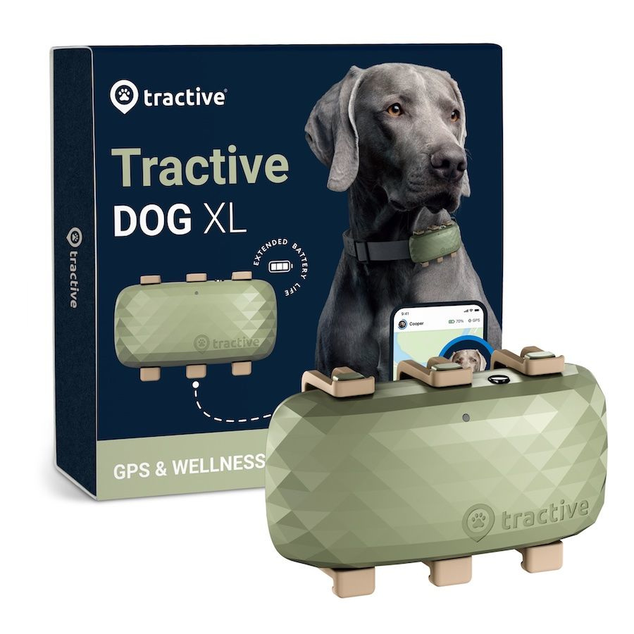 Rastreador GPS para cães Tactive XL
