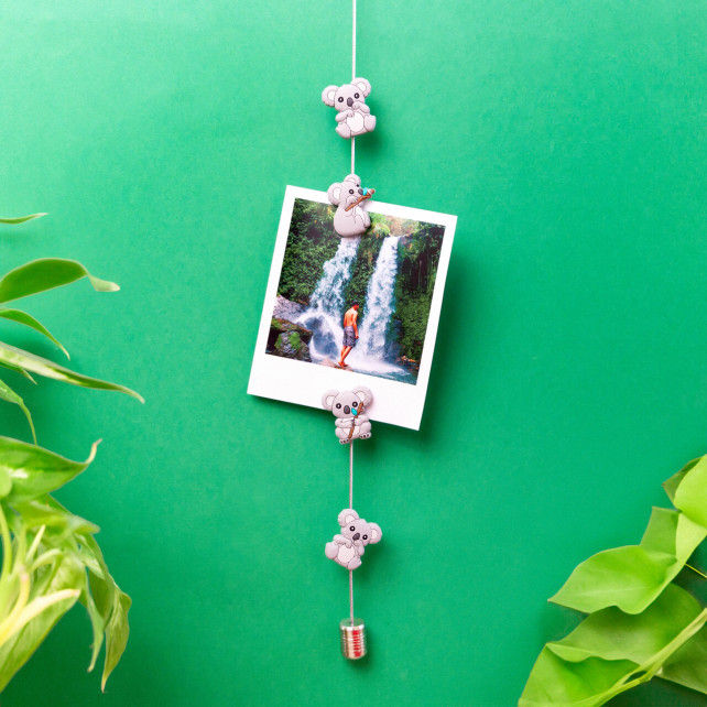 Câble porte photos et magnets - Magnetic Cable