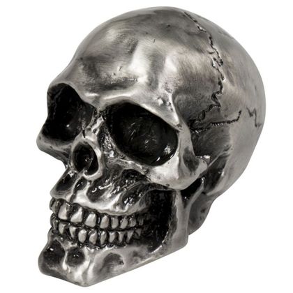 Emblème Highway Hawk Statuette Tête de mort Universel - Gris