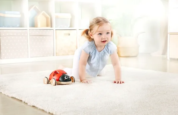 Hape Shape Sorter Ladybug