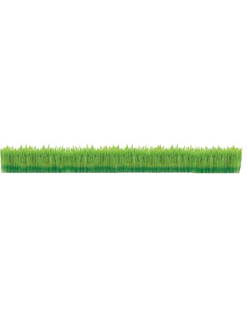 Gimcat Kattengras - Kattensnack - Natuur 150 g
