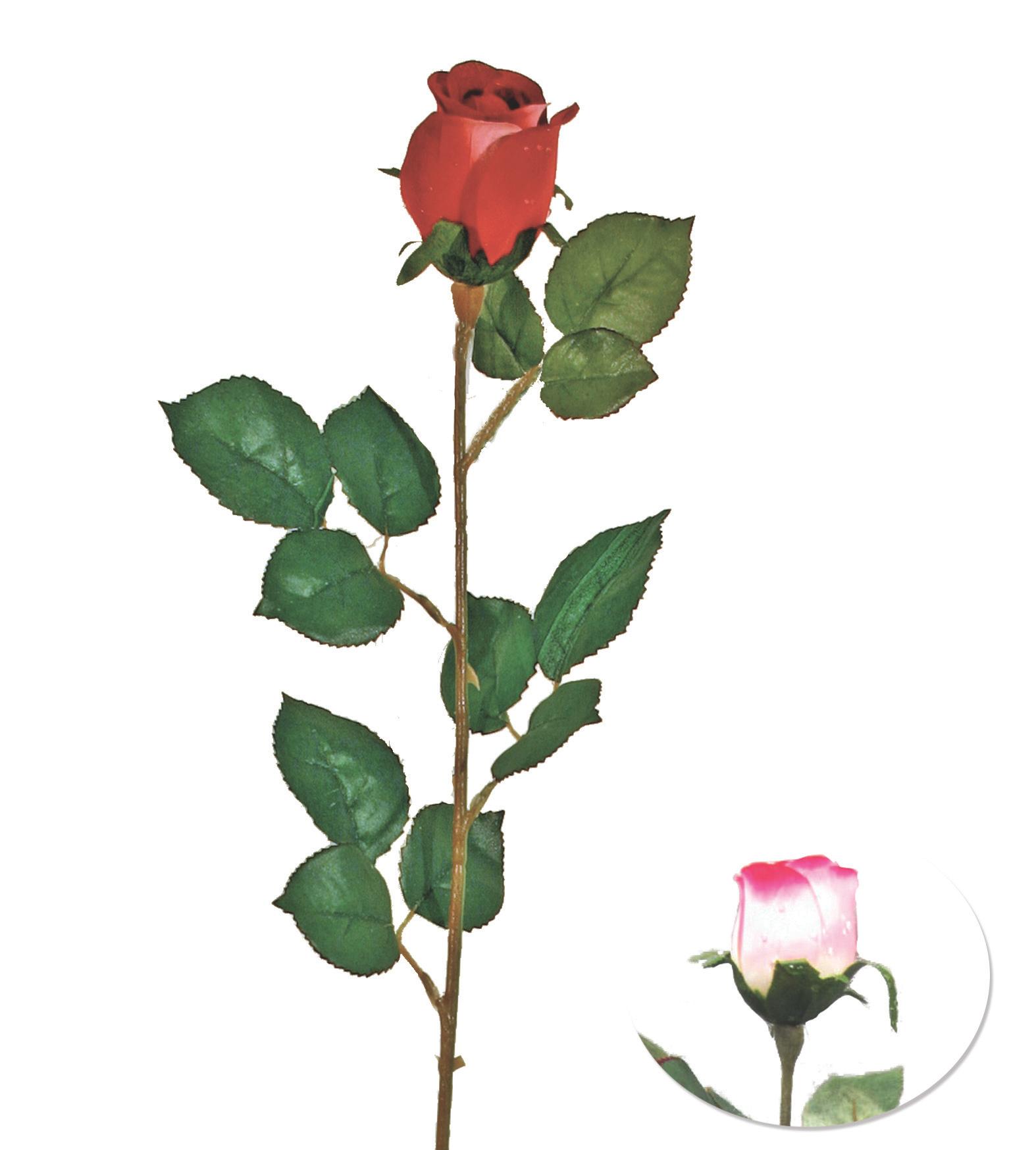 TIGE BOUTON ROSE H.77CM ROSE