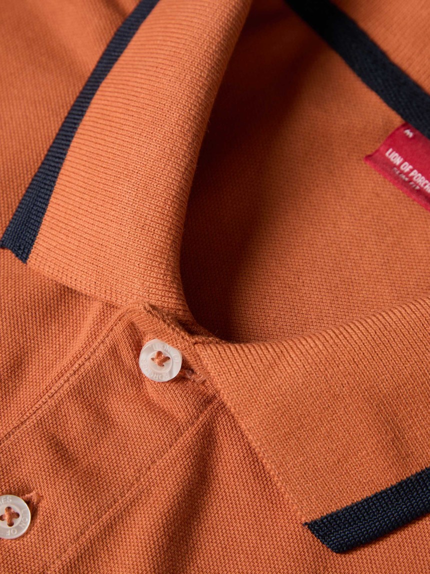 Polo piqué com riscas e estampado