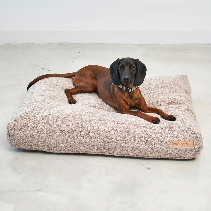 MiaCara - Senso Hundekissen, M, greige