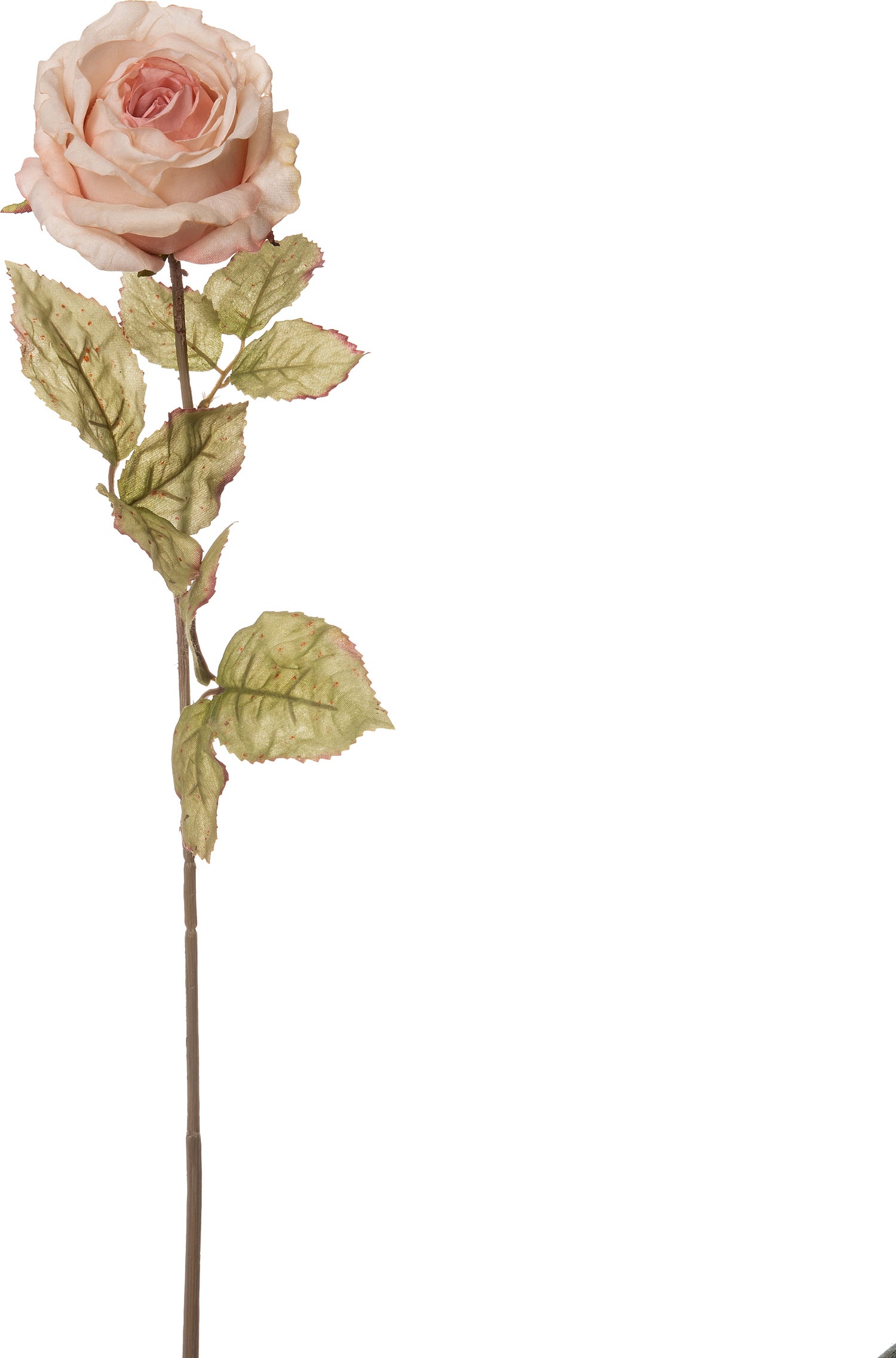 Intratuin kunstbloem Roos 62 cm roze
